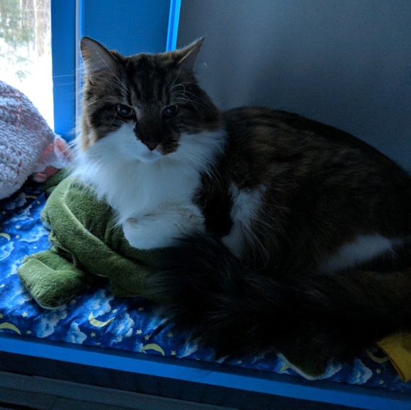 Meet your Posher, Kate - Picture 1 of 1